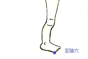 至陰穴 至陰穴