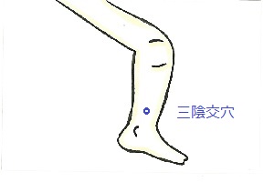 三陰交穴 三陰交穴