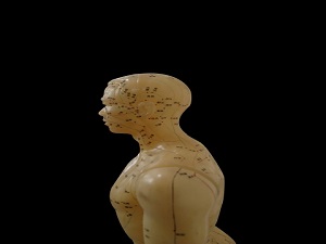 ツボ(鍼灸) ツボ(鍼灸)