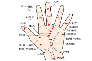 ZtPA@c{