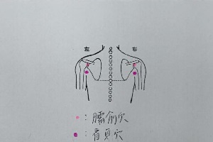 肩貞穴・臑兪穴 肩貞穴・臑兪穴