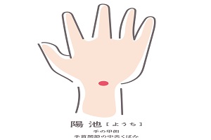 陽池穴 陽池穴