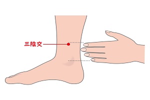 三陰交穴 三陰交穴