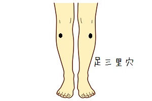 足三里穴 足三里穴
