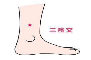 三陰交穴 三陰交穴