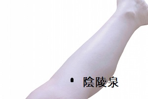 陰陵泉穴 陰陵泉穴