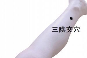 三陰交穴 三陰交穴