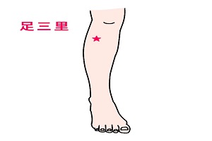 足三里穴 足三里穴