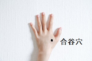 合谷穴 合谷穴