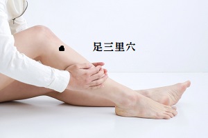 足三里穴 足三里穴