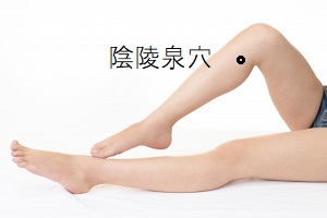 陰陵泉穴 陰陵泉穴