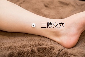 三陰交 三陰交