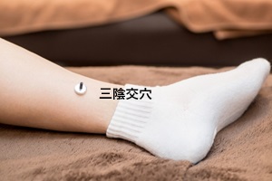 三陰交穴 三陰交穴
