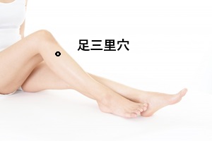足三里穴 足三里穴